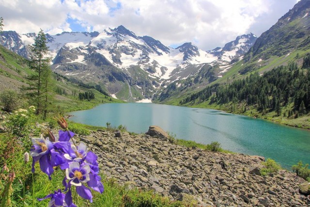 На конягах по Алтаю