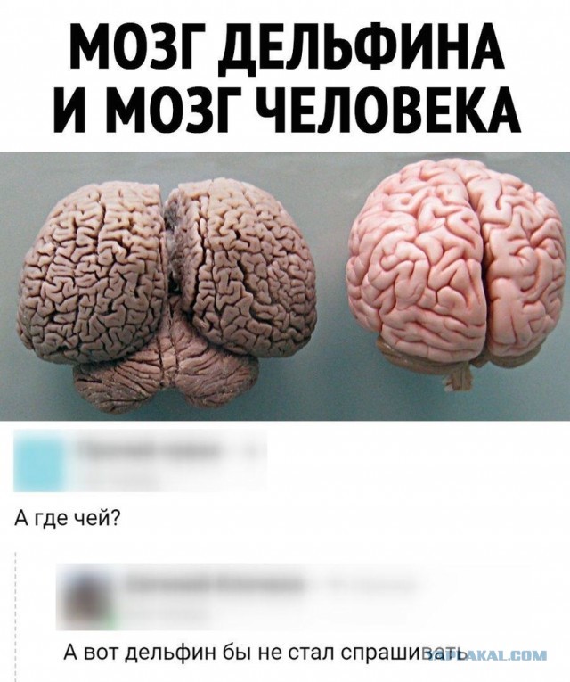 Картинки и мемы для настроения 023
