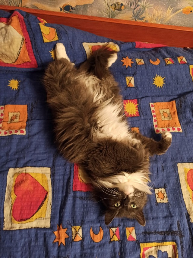 Подборка забавной живности