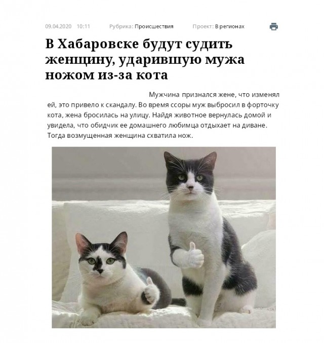 Картинки 11.02