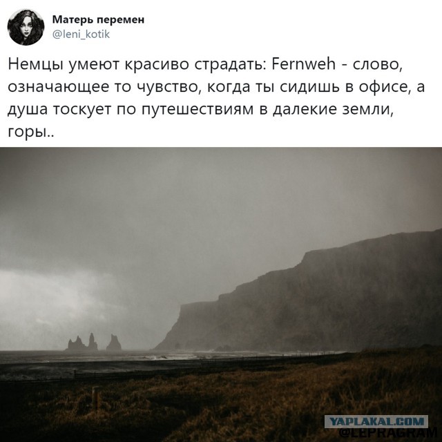 Свинегрет: картинки, надписи и прочее на 20.02.21 или №30