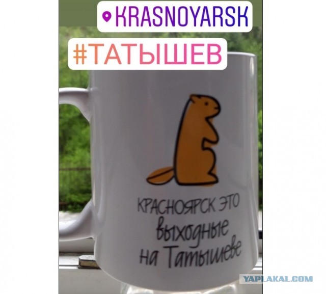 Живу в Красноярске