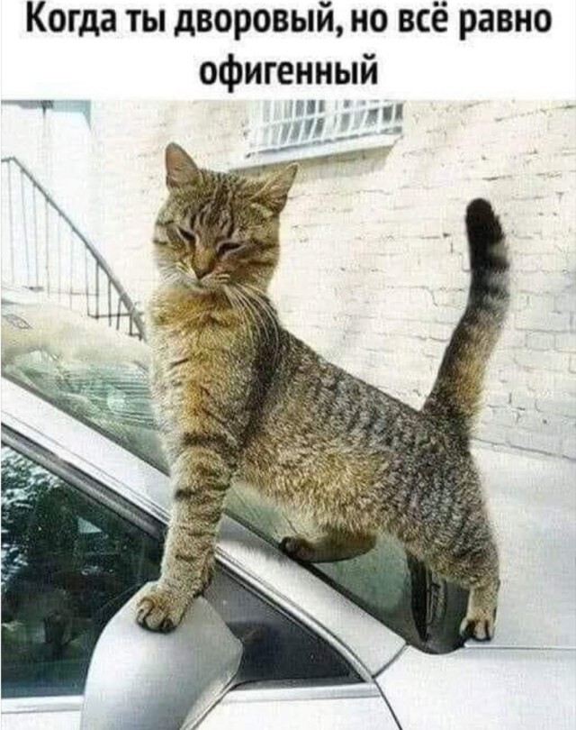 Здравствуйте