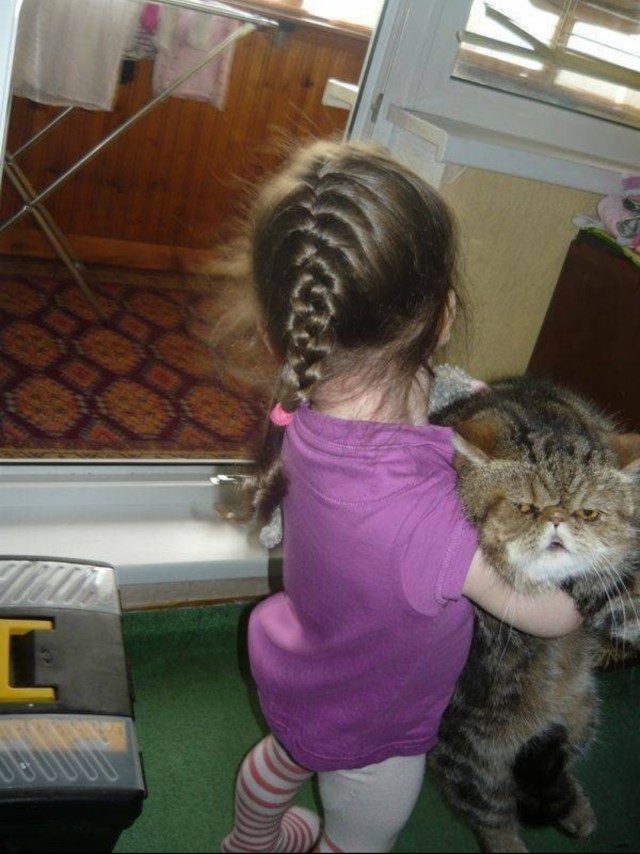 Девушки котовторника