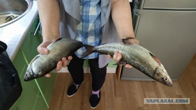 Я буею с этих цен