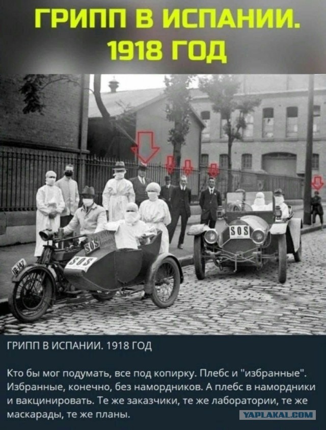 Пандемия. Коронавирус и съехавшие крыши. Россия и мир. Часть 34.