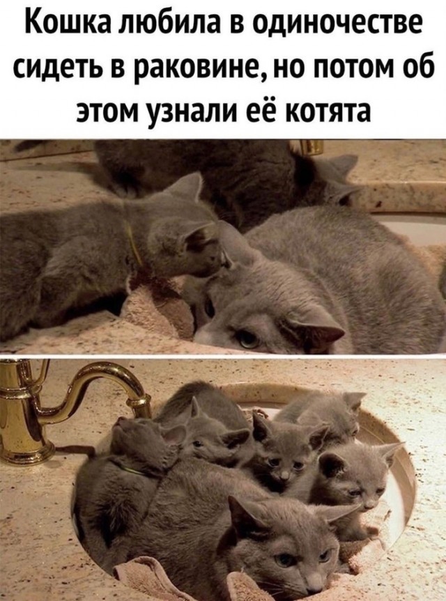 Так себе картинки 01.06.22