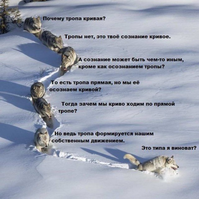 50 оттенков серого.  Vol.14 Или самосвал баянов