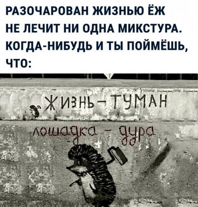 Картинки и мемы для настроения - 23