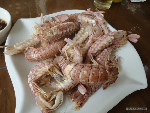 Супер-ресторан морепродуктов (Китай) – экскурсия.