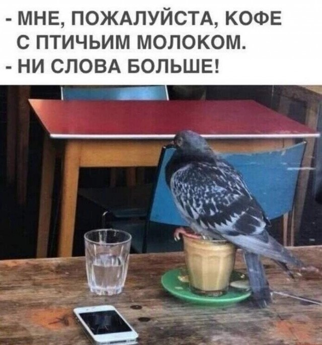 Юмор в картинках и без 29.08.2022