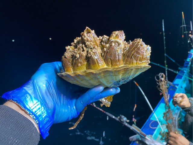 Дары моря