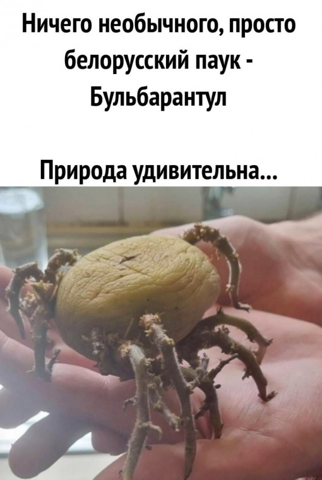 Картинки и мемы для настроения - 111