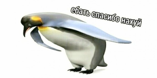 Глава Якутска пообещал семьям мобилизованных бесплатно выдать капусту, лук, картошку и свеклу