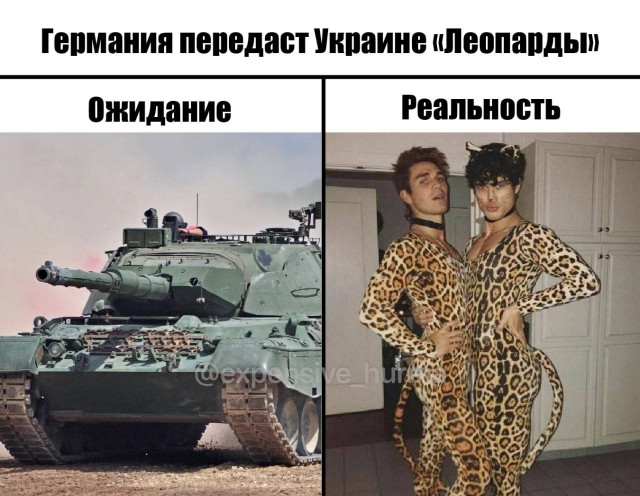 Леопарды уже прибыли