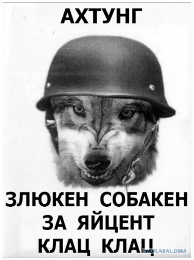Жалко этого добряка