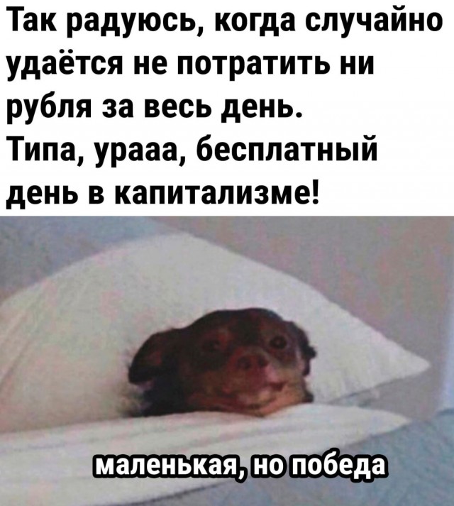 Картинок разной степени @анутости псто.
