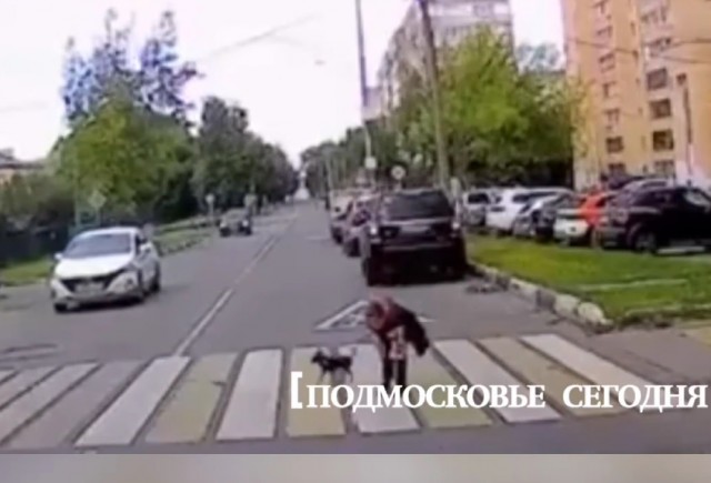Передаю привет и лучи добра родителям этой воспитанной девочки!