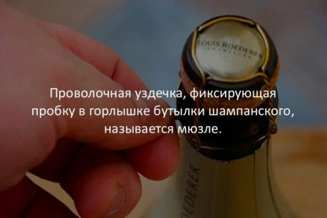 Картинки и мемы, всем хороших выходных