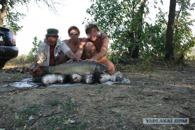 Рыбалки псто