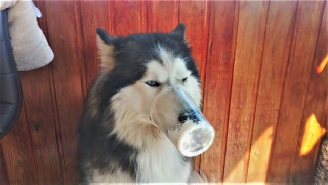 Ценность женщины глазами мужчины