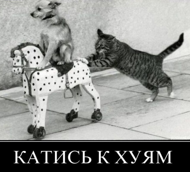 Настя Ивлеева: "Я вас покину!"