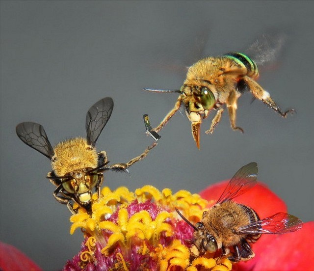 Прикольные и просто красивые картинки 07.06.2024