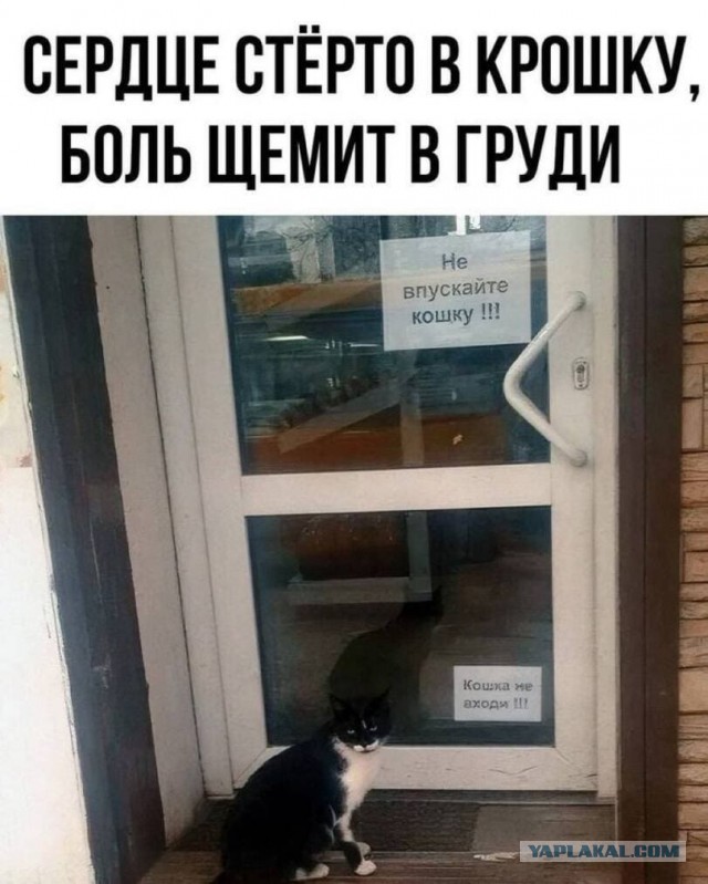 Да не очкуй Славик, я уже сто раз так делал
