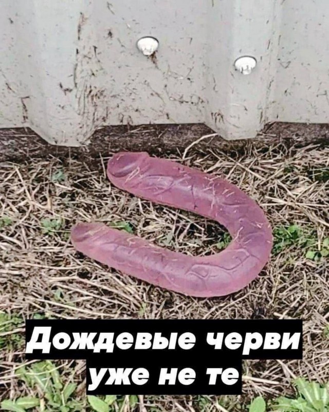 Немного заебавных картинок
