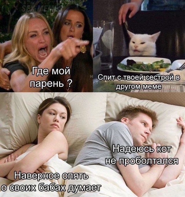 Немного забавных картинок от 18.08.2024