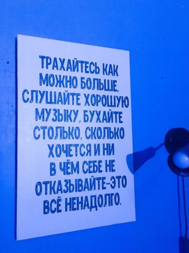 Прикольные и просто красивые картинки 12.11.2024