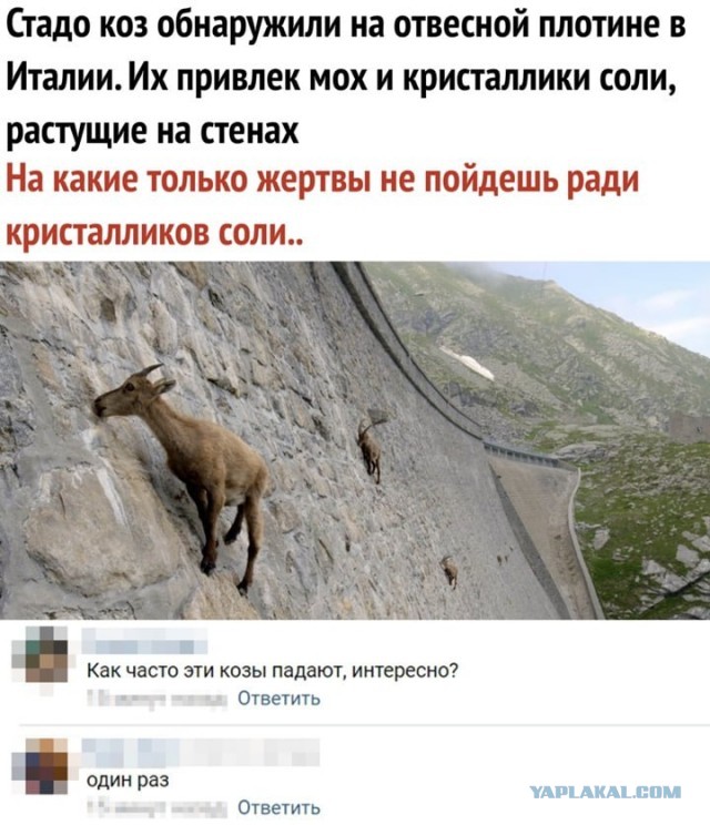 Завалялось тут случайно немного забавных картинок