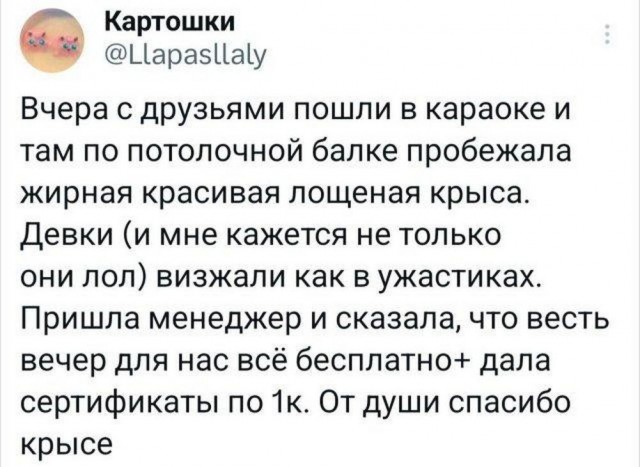 Веселые картинки к понедельнику (16.12)