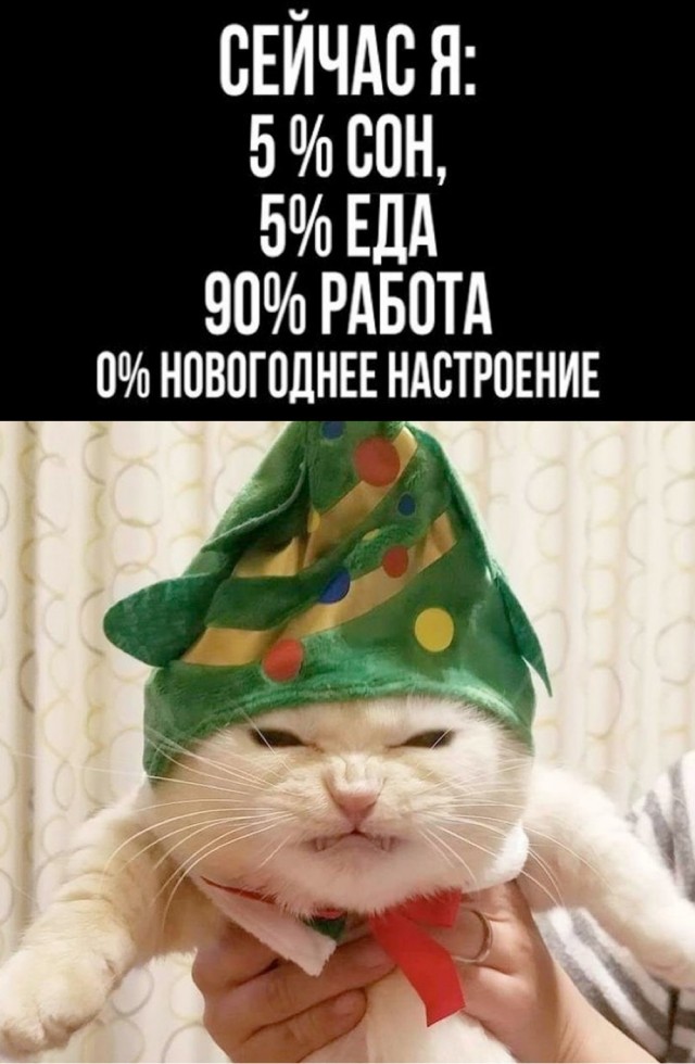 Прикольные и просто красивые картинки 24.12.2024