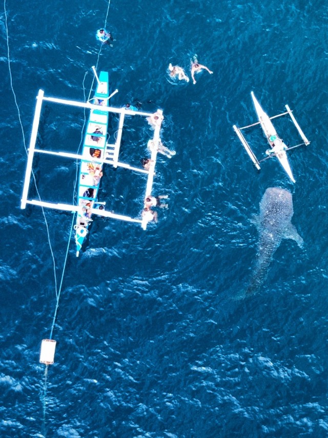 Бутан, таинственный Бутан