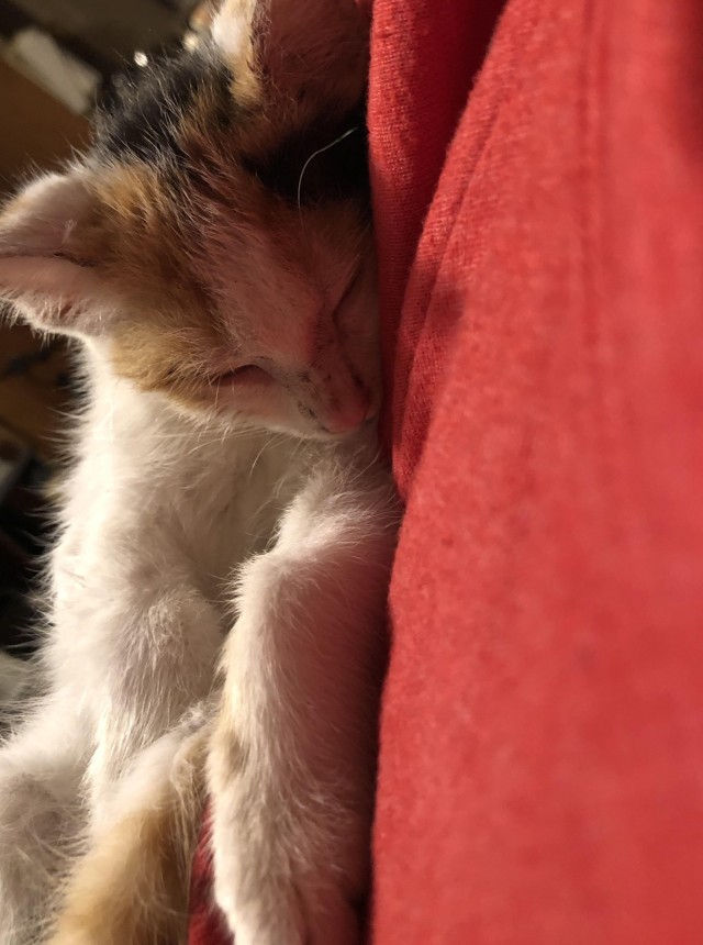 Было – Стало