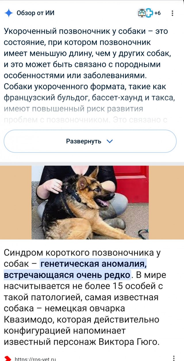 Сутулая псина