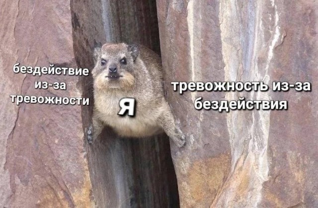 Немного картинок есть у меня на пятницу.