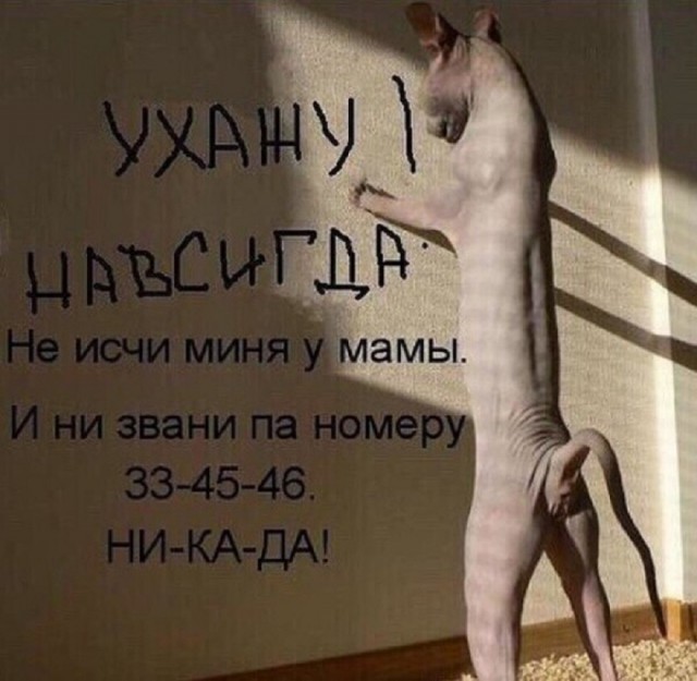 Так себе картинки 20.08.25