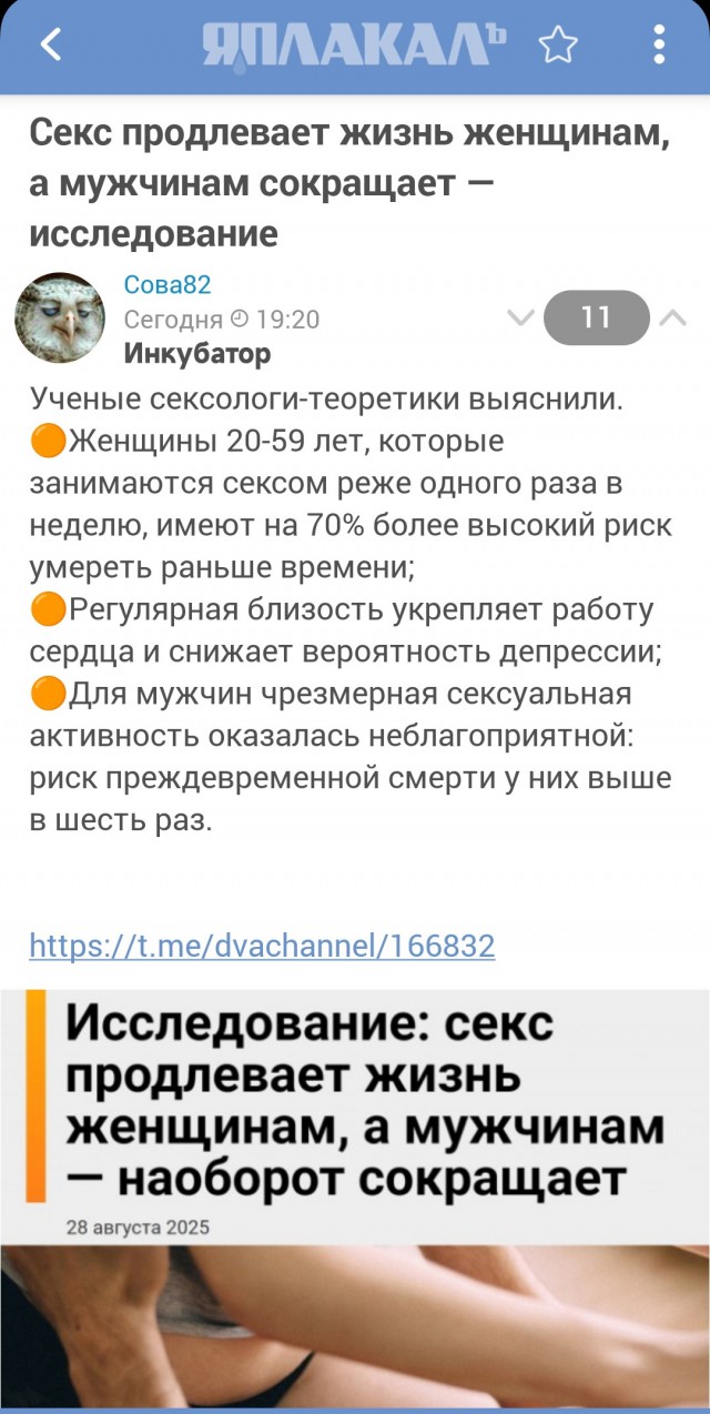 Японские ученые сексологи- теоретики из Университета Ямагата заявили, что интерес к сексу может продлить жизнь у мужчин старше 40 лет.