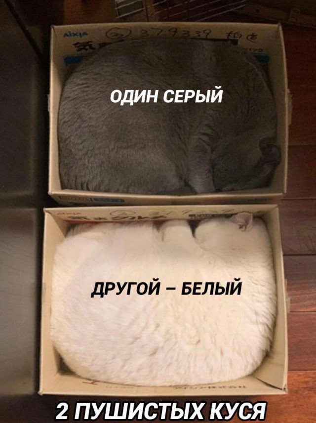 Немного картинкафф для настроения (баяны-перебаяны)