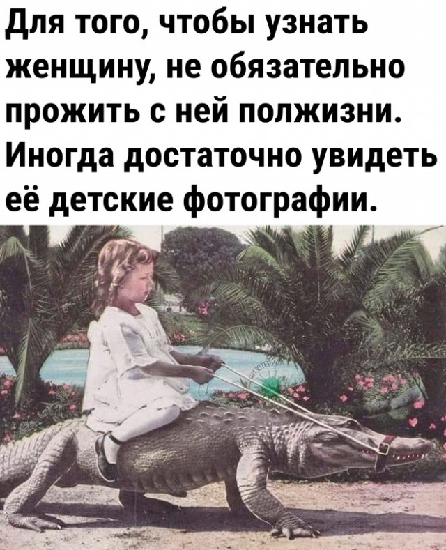Картинки для деградации 33 (разной степени свежести)