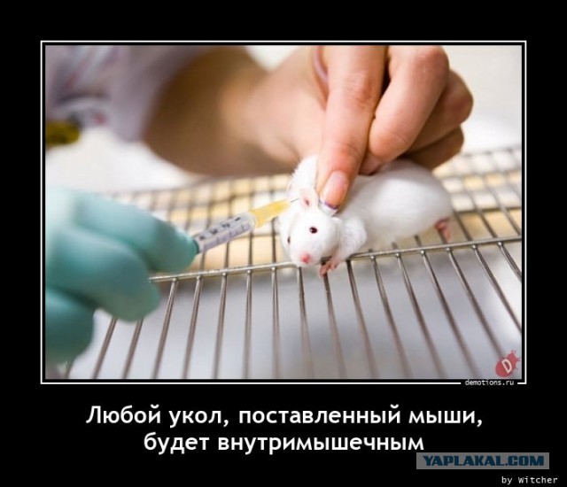 Когда не получилось похудеть
