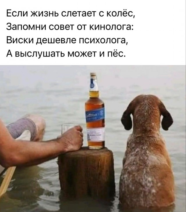 Хорошо, когда есть собака