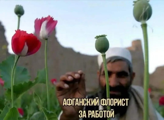 Политконсультант Игорь Димитриев обрисовал вероятные последствия привлечения в Россию трудовых мигрантов из Афганистана