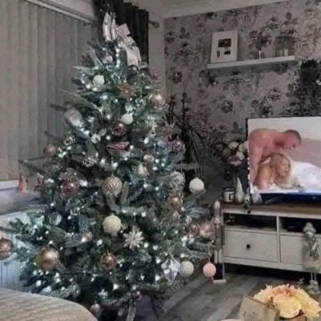 А Вы ёлочку поставили?