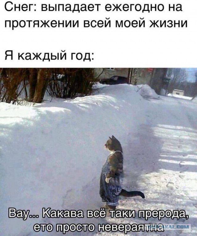 Воскресные картинки