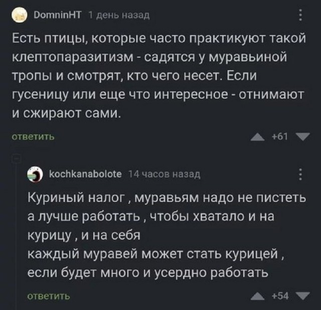 Так себе картинки 18.03.26