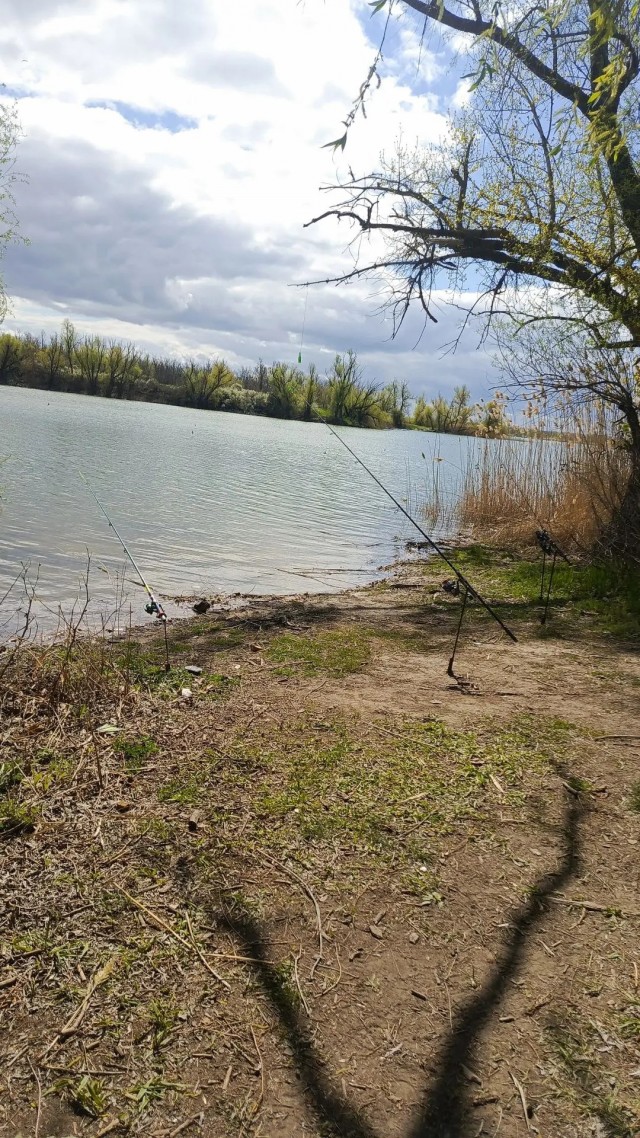 25 апреля 1979 года.