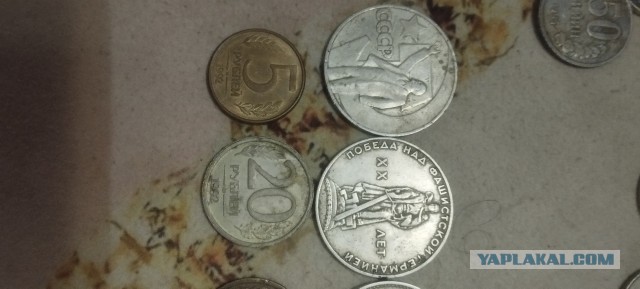 капсула времени